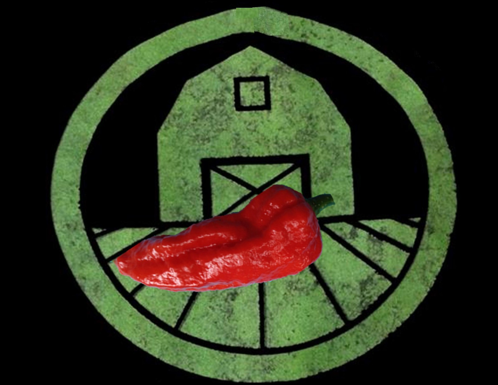 10+ Red Ghost Pepper (Bhut Jolokia) Seeds (Hot, organic chili, chile)