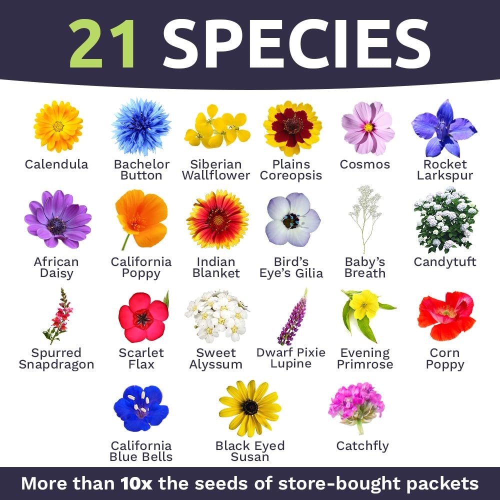 Bulk Wildflower Seeds Annual Quick Blooming 1/4 Pound Bag, Multiple Colors
