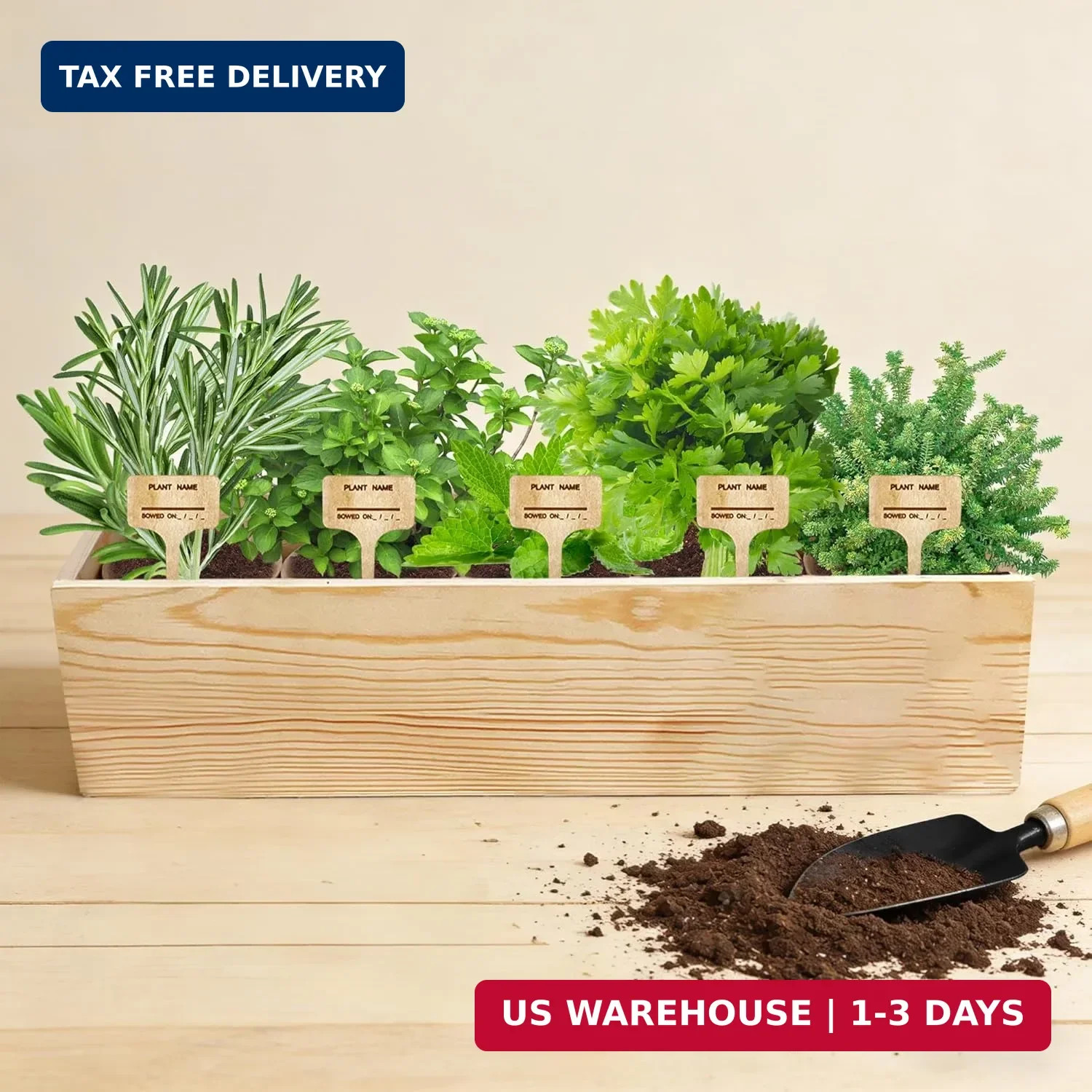 Indoor Herb Garden Starter Kit, 5 Seeds Growing into Basil, Parsley, Rosemary, T