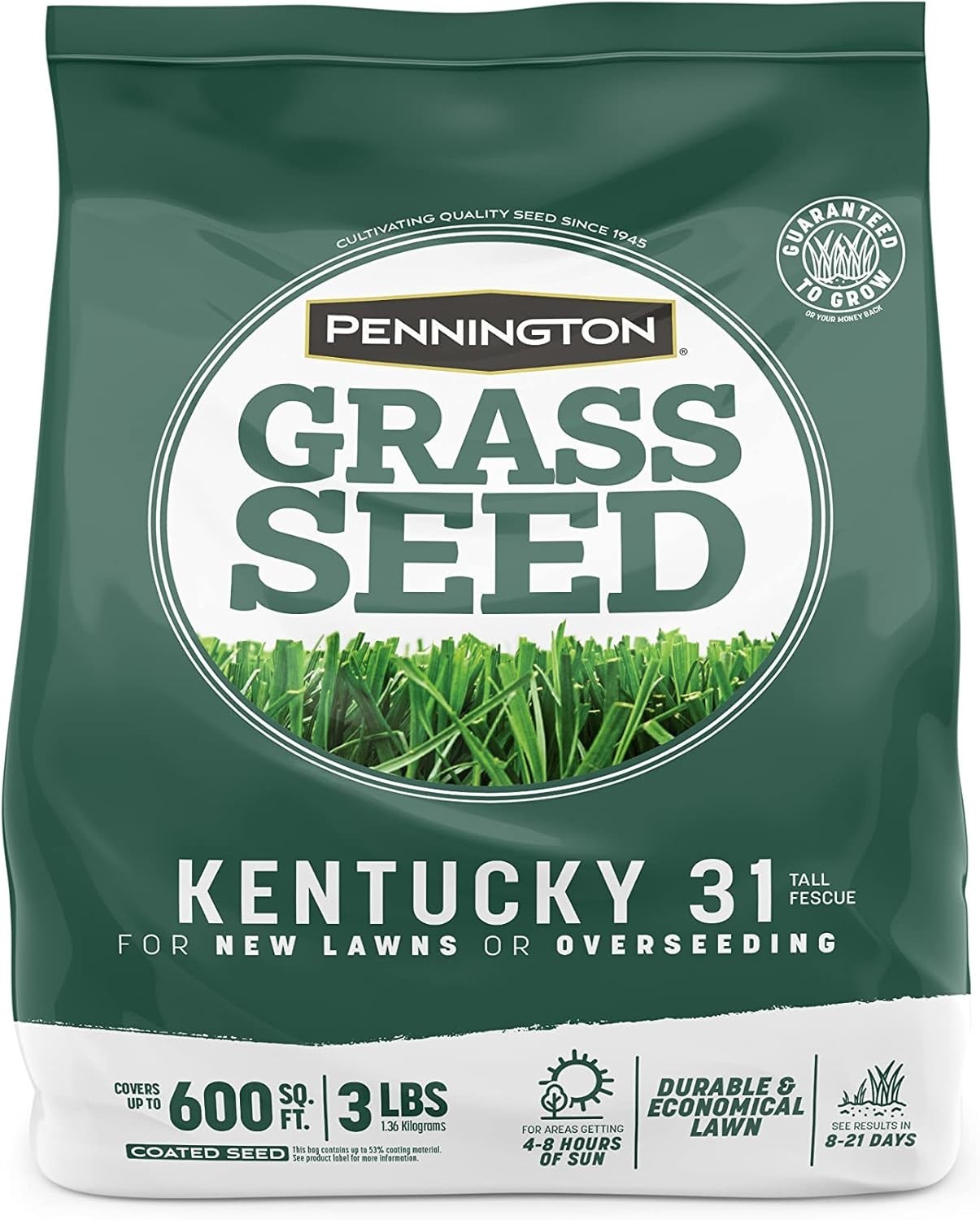 Drought-Resistant Kentucky 31 Tall Fescue Grass Seed – 3 lb for Easy Gardening