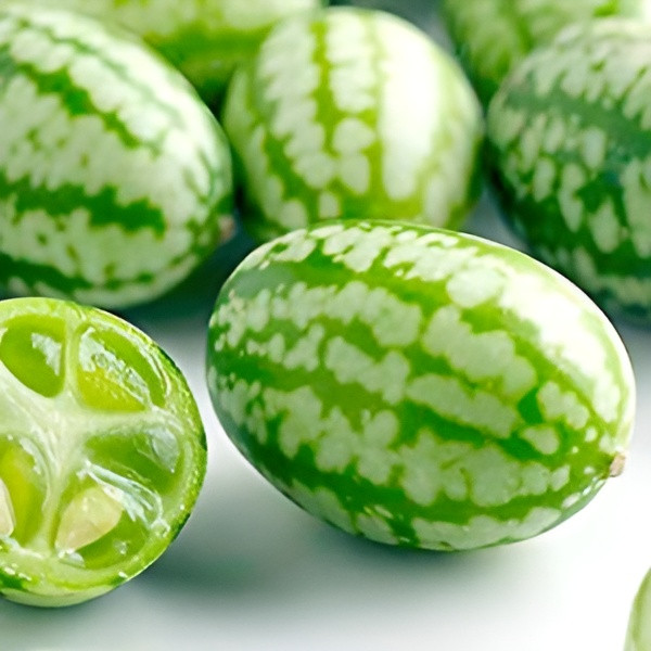 150 Heirloom Organic Straight Eight Cucumber Seeds – Bitter Free! Sweet&Crisp!