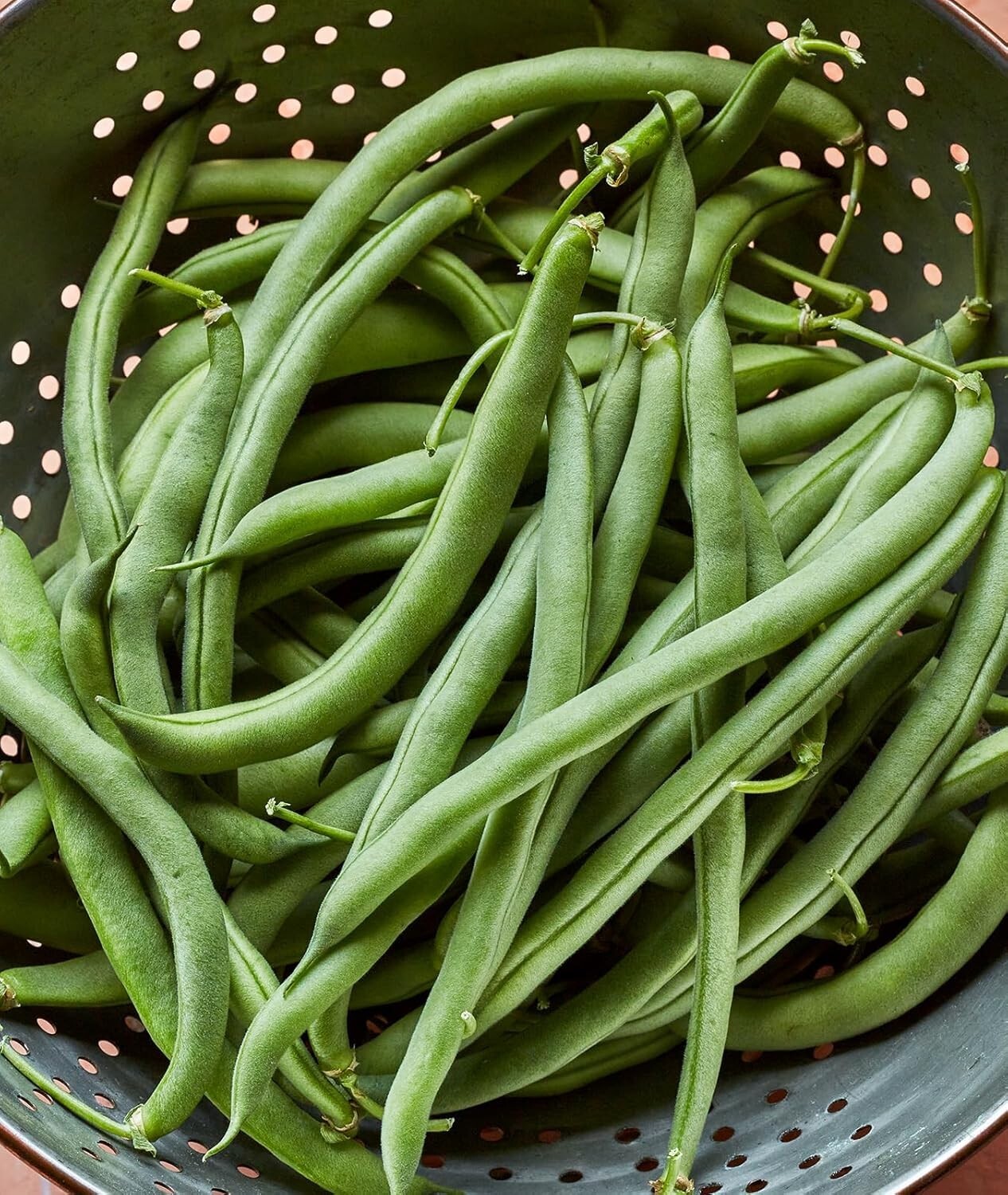 Blue Lake 274 Organic Heirloom Bush Bean Seeds – 8 Oz for Delicious Yields