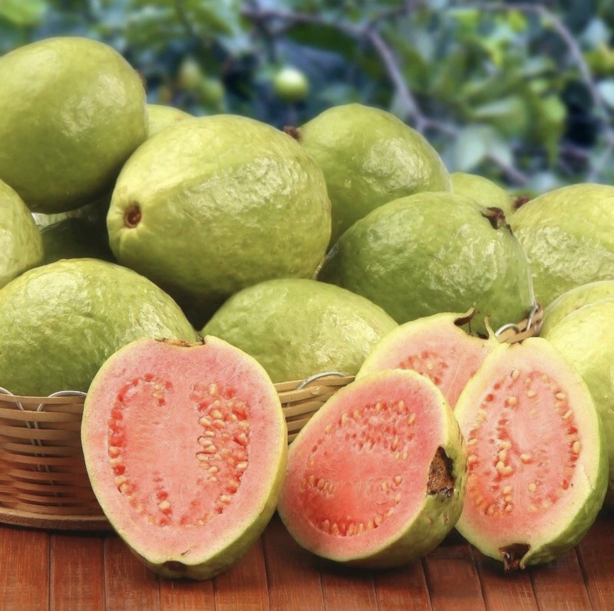 20 SEEDS Pink Guava FOR PLANTING | FREE SHIPPING