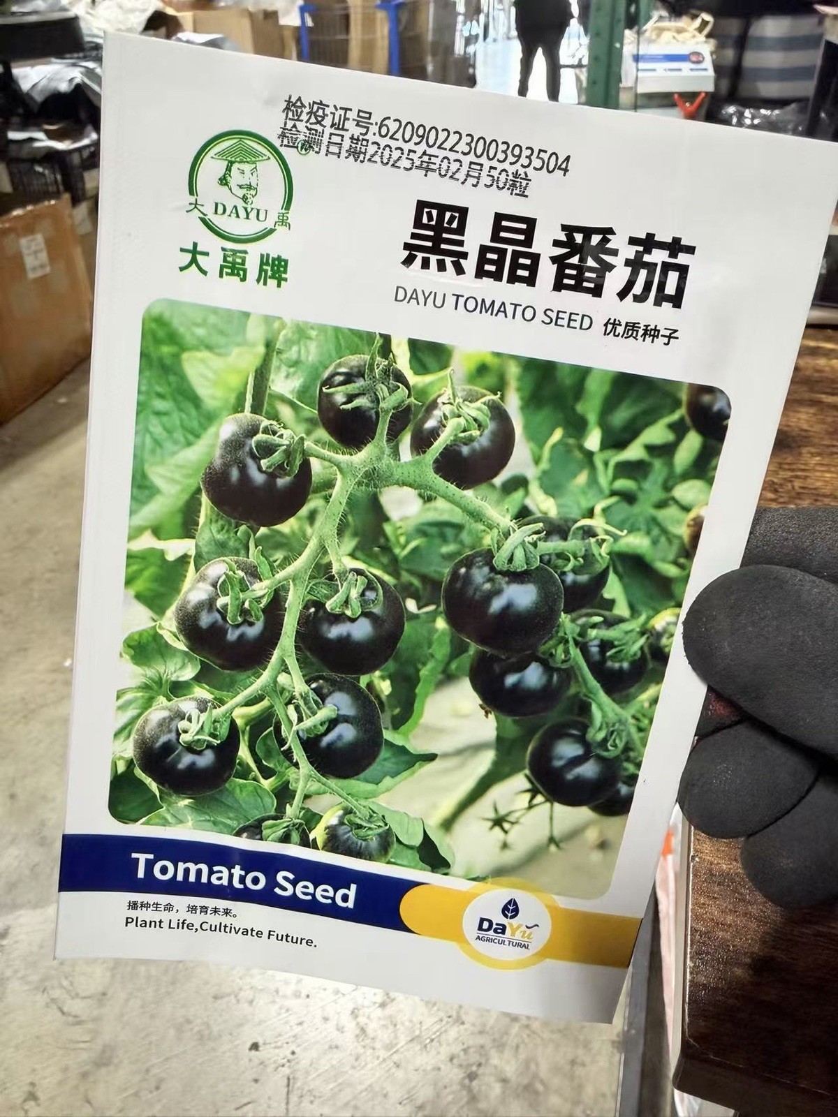 Black Cherry Tomato Seeds Heirloom Non GMO Sweet Juicy Garden Planting 50 Seeds