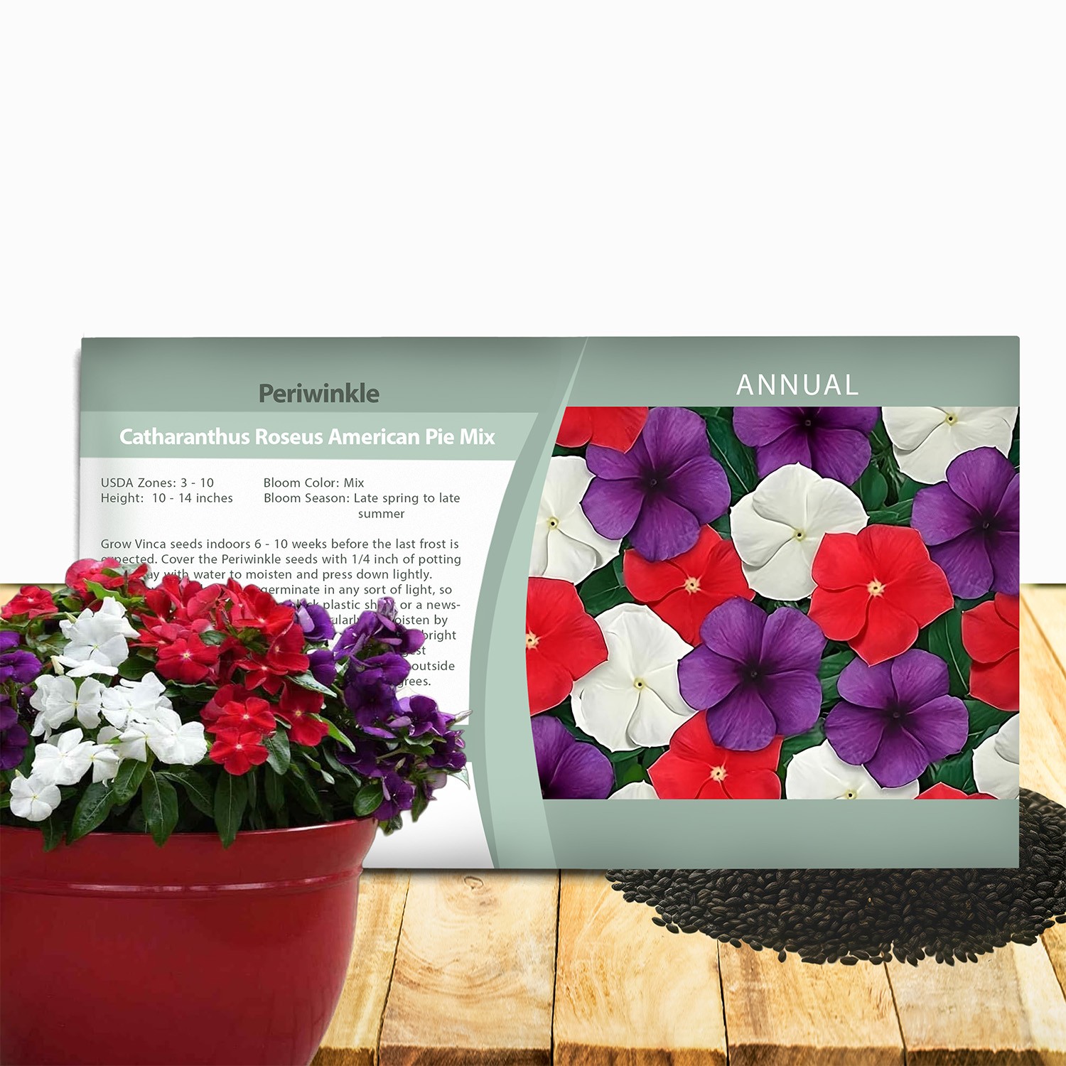 50 Seeds Vinca Periwinkle Seed Mix For Planting – American Pie Ground Cover