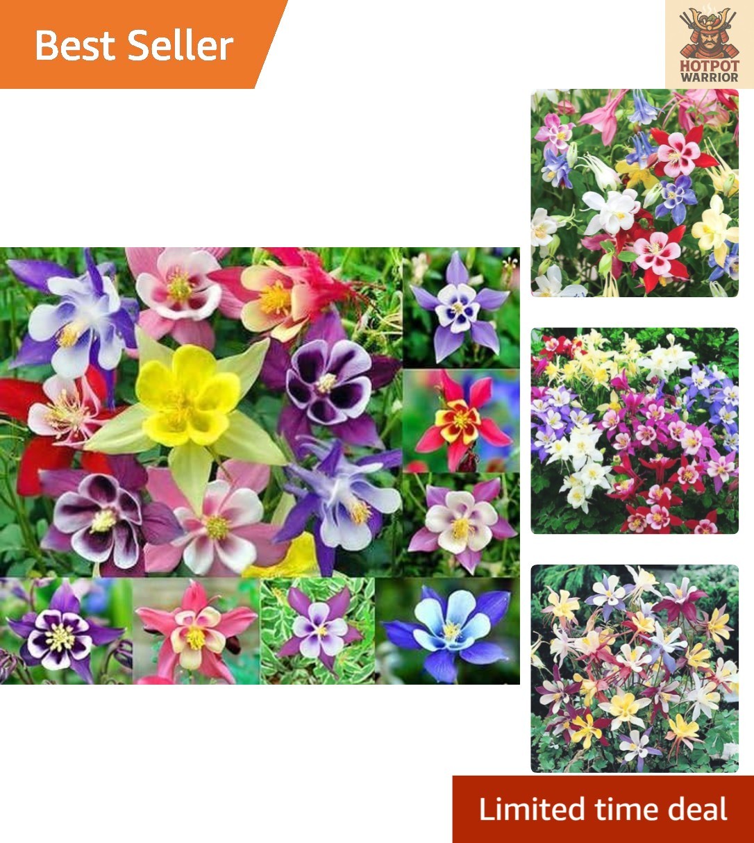 Columbine McKana Giants Seeds – 200 Seeds to Enhance Your Spring & Summer Garden
