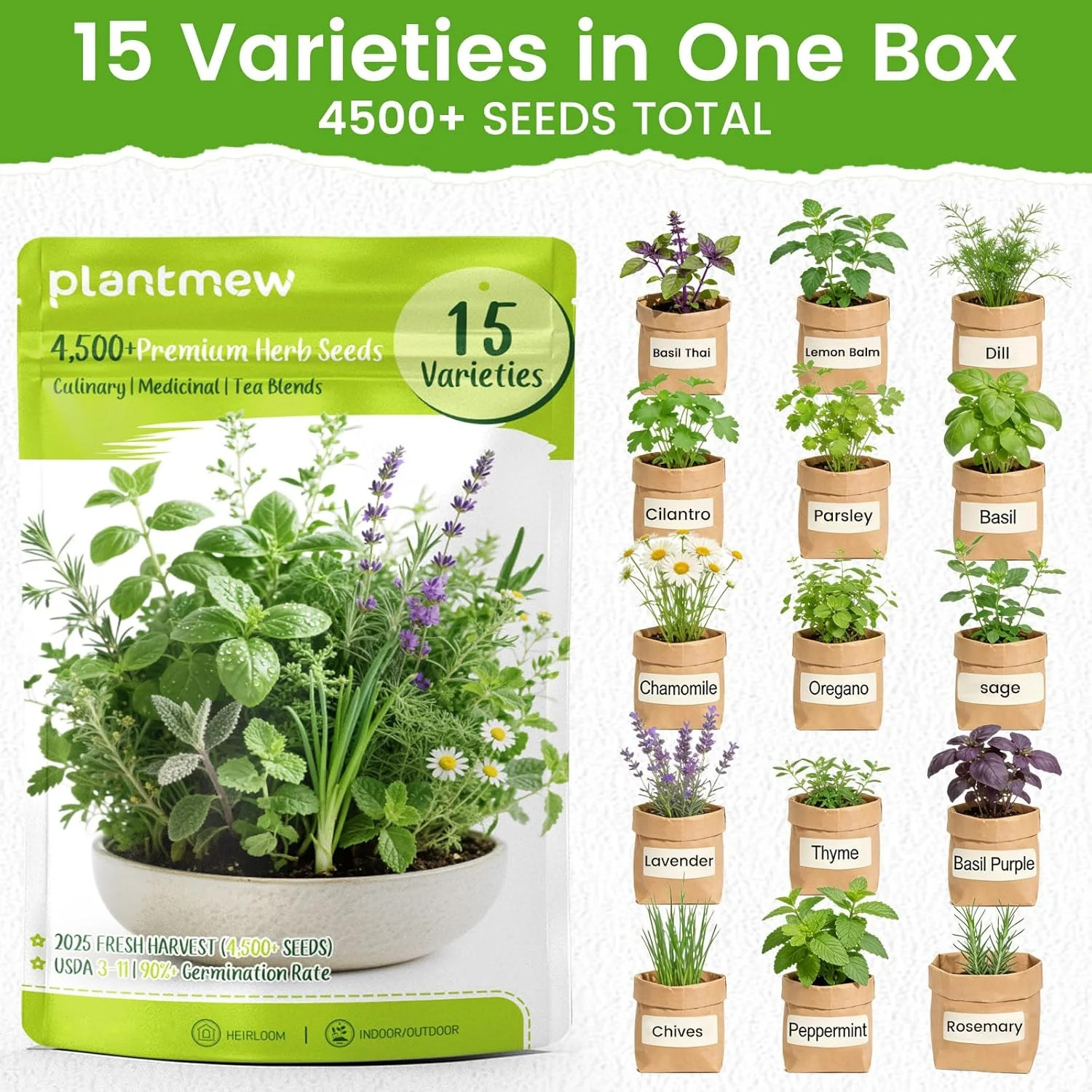 Herb Seeds 15-Pack – 4,500+ Heirloom Seeds for Planting – Indoor & Outdoor Herb