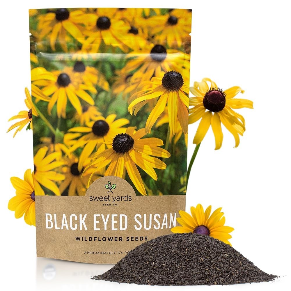 Bulk Black Eyed Susan Seeds – 1/4 lb Non-GMO Wildflower Seeds – 400,000+ Open Po