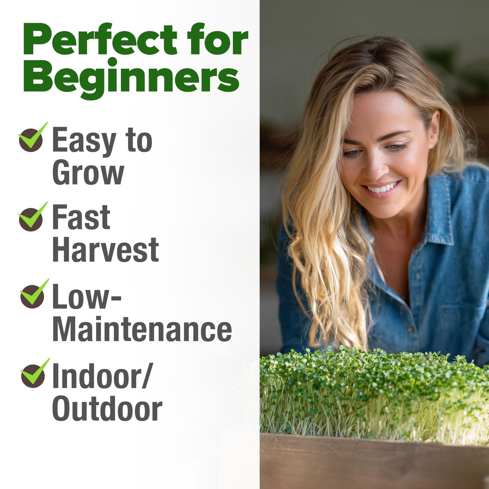 Broccoli Seeds 8 oz Bulk Heirloom NonGMO, High Germination, Sulforaphane Rich…