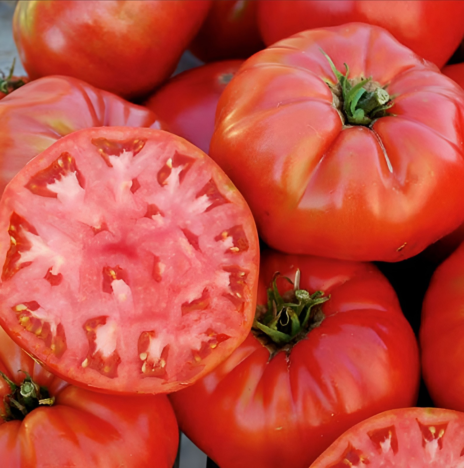 100 Heirloom Giant Red Beefsteak Tomato Seeds – Indeterminate – Up to 4LBs