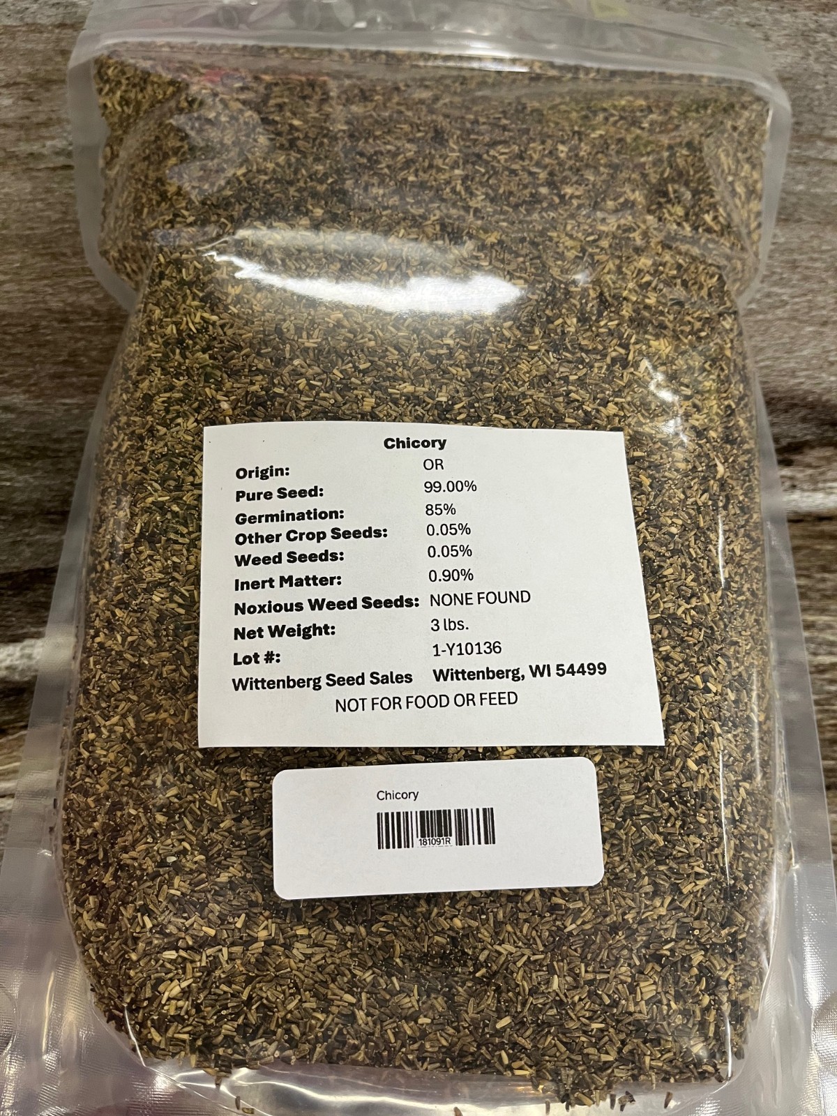 3 lbs Chicory Seed – Deer Food Polt / Wildlife Seed