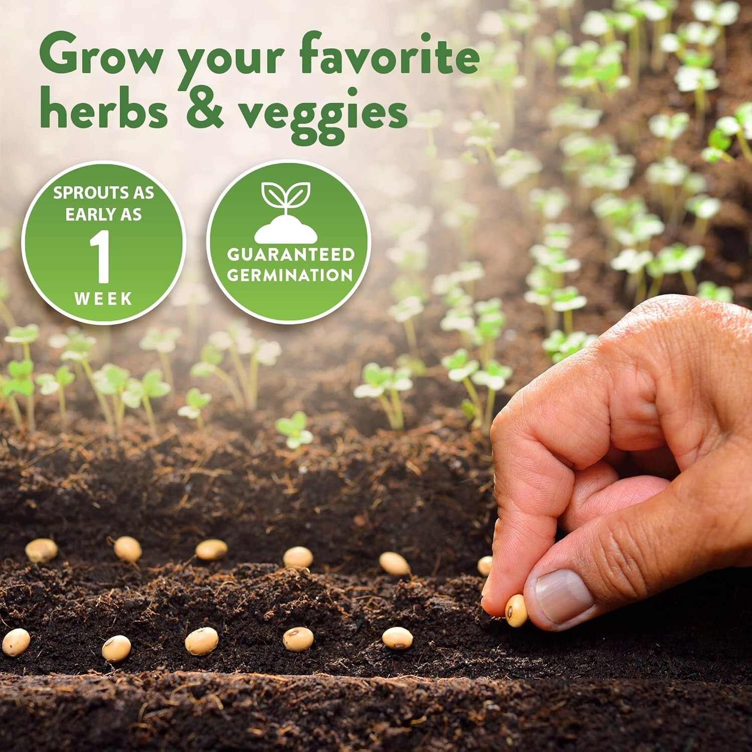 32,000+ Heirloom Seeds – 70 Unique Non-GMO Varieties for Indoor/Outdoor Garde…