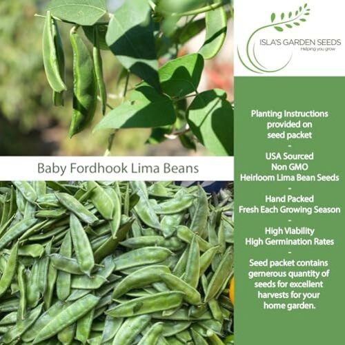 Baby Fordhook Lima Bean Seeds (Bush Lima, Phaseolus lunatus) – 25 Non GMO