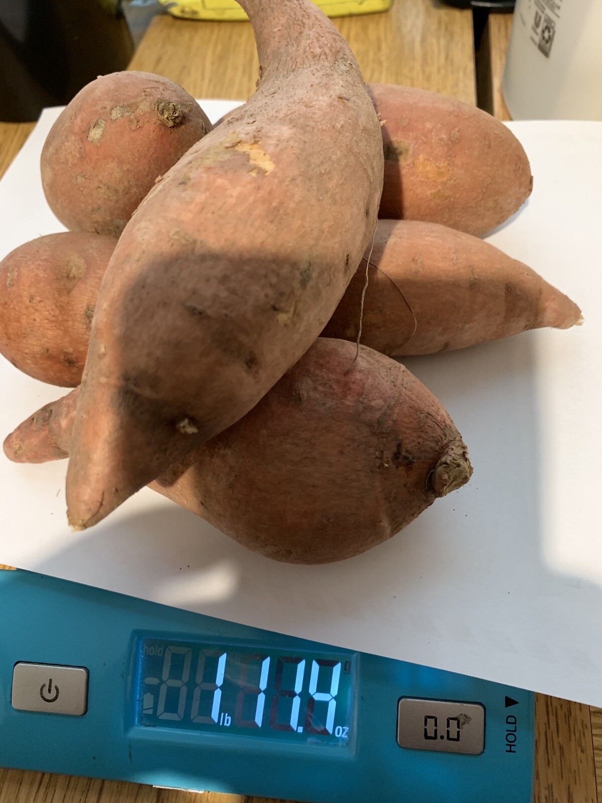 2 tubers of Organic Garnet Sweet Potatoes, Red skin Yams