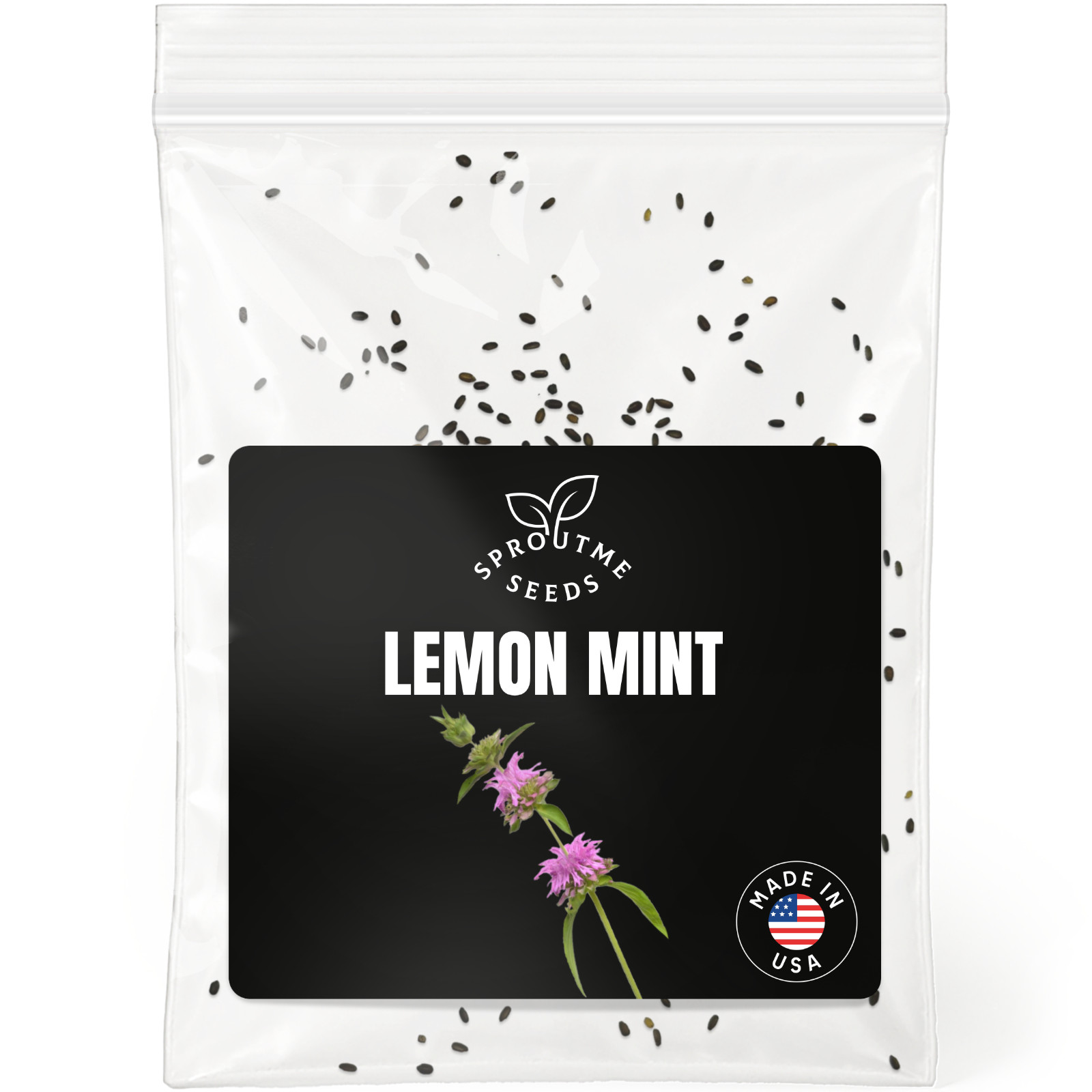 Lemon Mint Seeds 200+, Heirloom Non-GMO, Fragrant Culinary Herb Garden