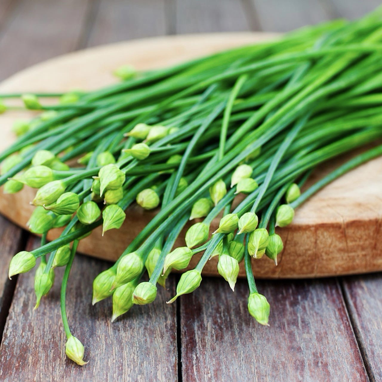 100+ Garlic Chives Seeds (Allium tuberosum) Chinese Chives Jiu cai Vegetable USA