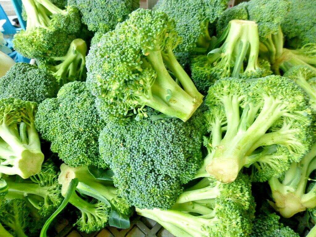 1200+ BROCCOLI WALTHAM SEEDS HEIRLOOM VEGETABLE GARDEN NON-GMO MICROGREENS USA