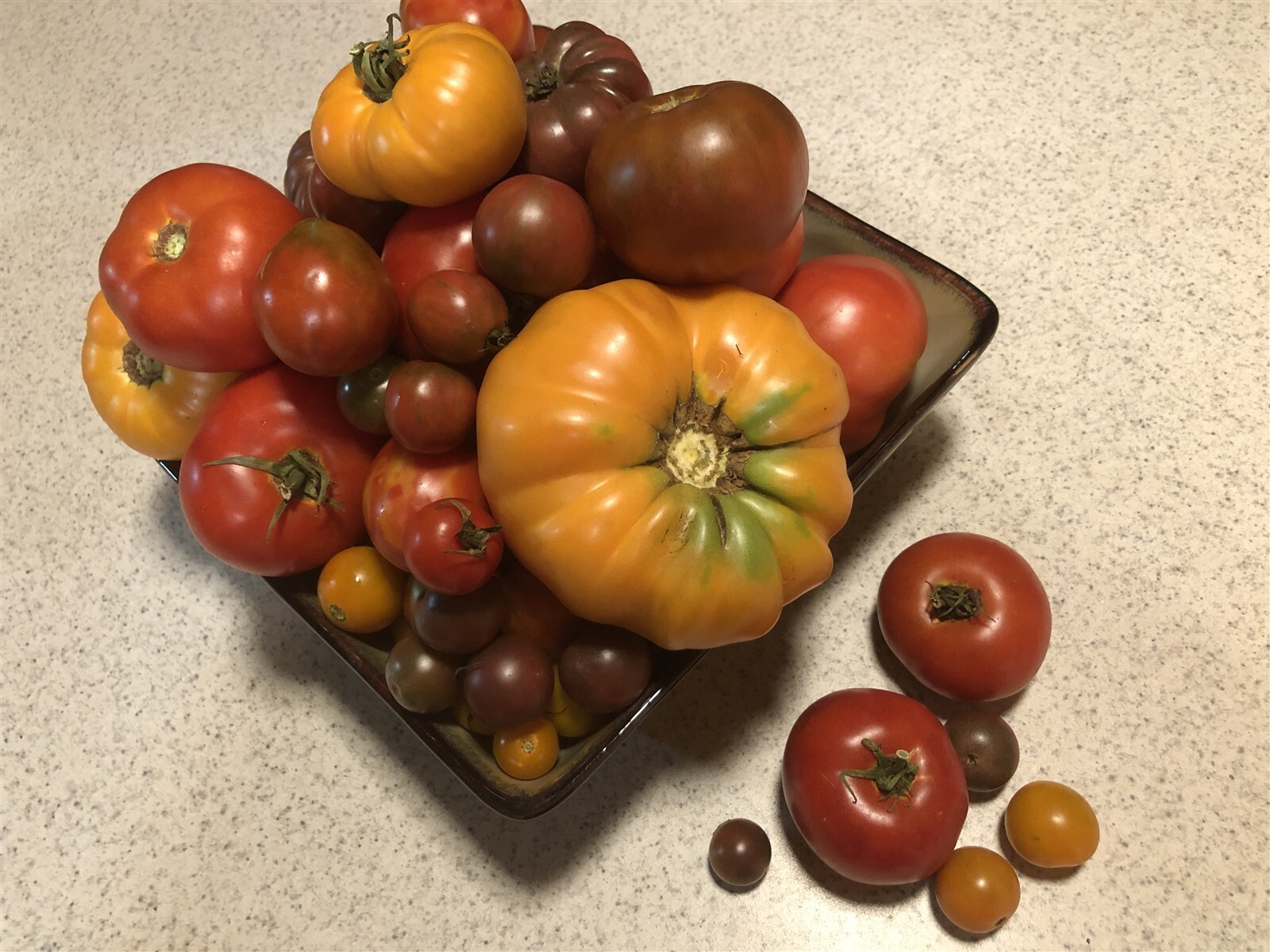 27 Varieties Organic Non-GMO Heirloom Tomatoes, 10/25/50/100 Seeds FREE SHIPPING