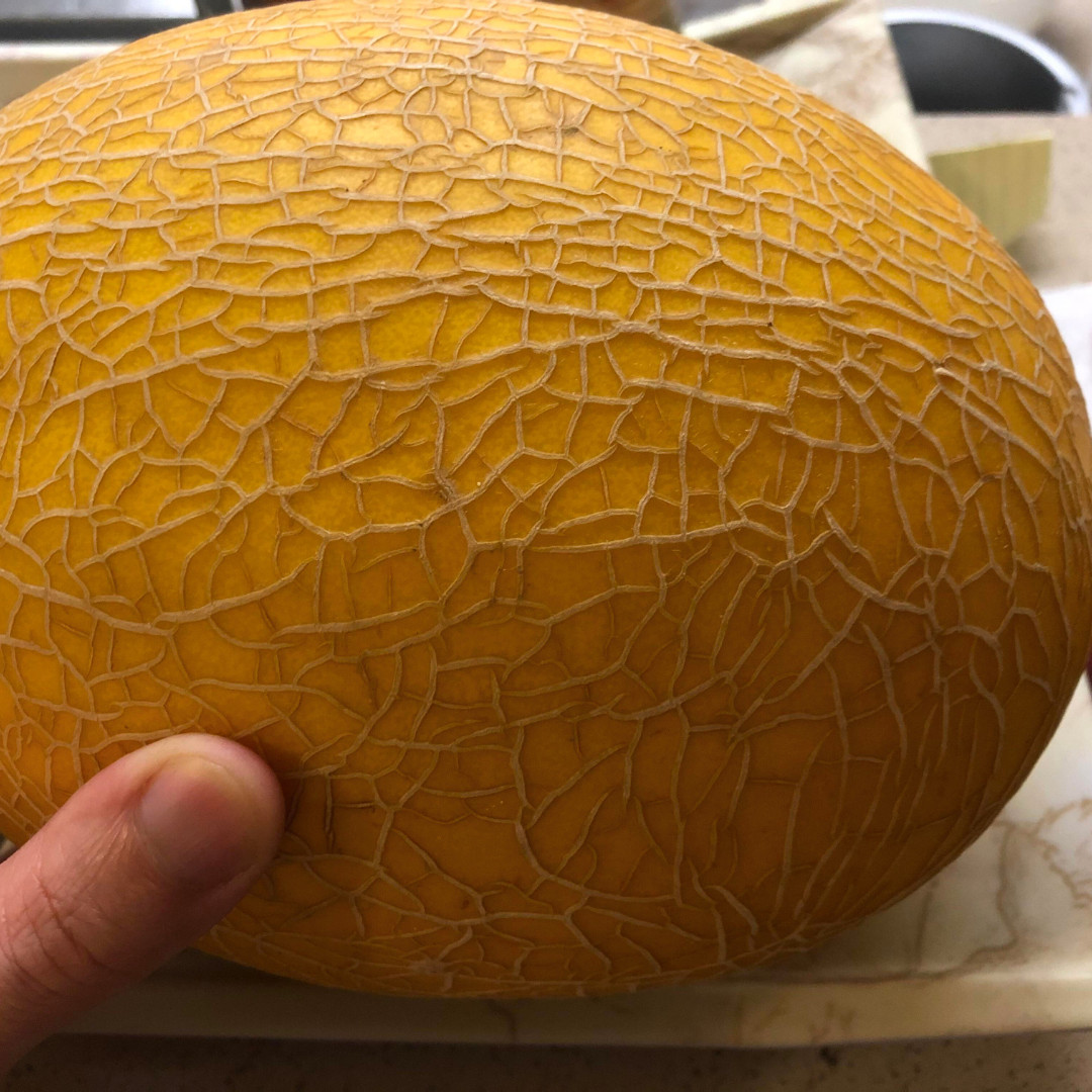 Fresh Sweet Delicious Hami Melon Seeds | Heirloom Non-GMO | Asian Fruit Seeds