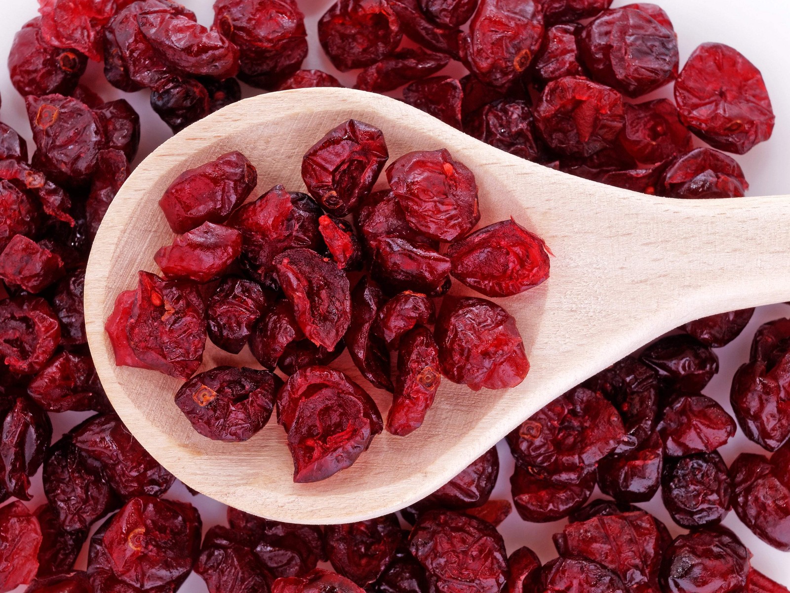 100 Perennial CRANBERRY American Vaccinium Macrocarpon Red Fruit Bush Seeds