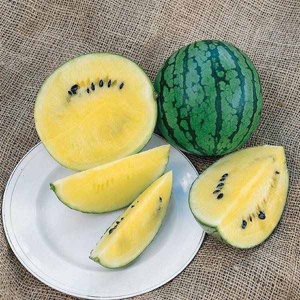 Saskatchewan Watermelon Seeds – Rare Northern Variety with Sweet Creamy Flesh