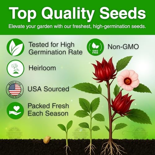 100+ Red Roselle ???-??? ??? ??????? Seeds for Planting –