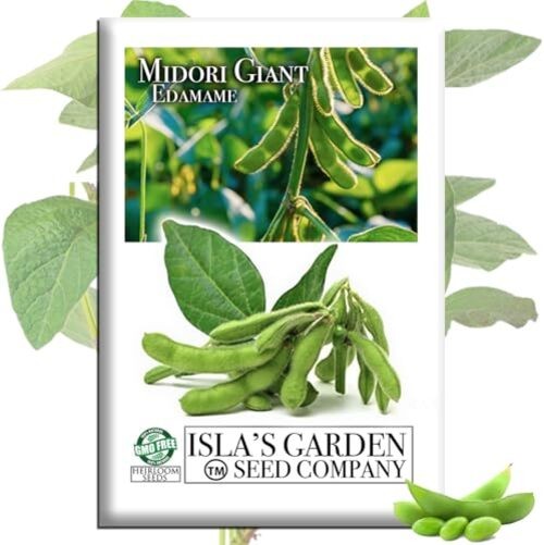 Midori Giant Edamame Seeds (Glycine max) – 25+ Heirloom Non-GMO Seeds by