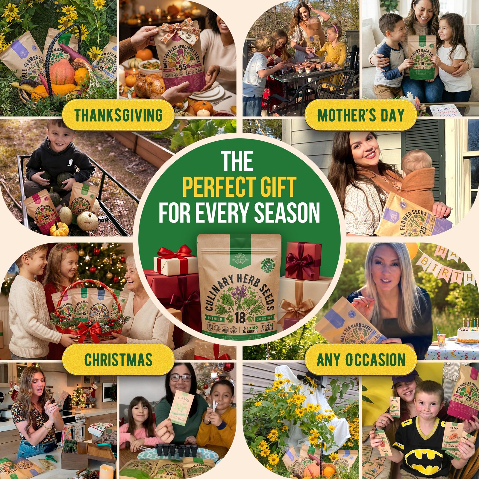 Culinary Herb Seeds Variety Pack NonGMO Heirloom Garden Planting Sets 18 Variety