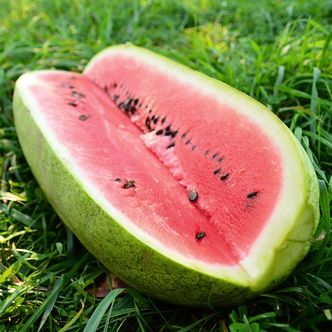 Fresh Charleston Grey Watermelon Seeds | Heirloom Non-GMO | Fresh Fruit Seeds