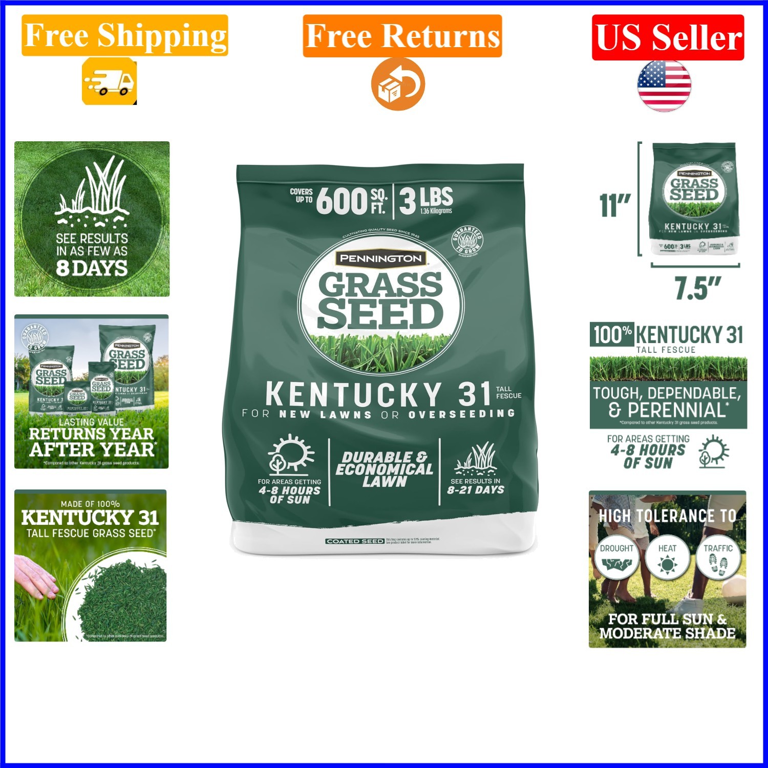 Kentucky 31 Tall Fescue Grass Seed, 3 lb, Durable, Drought-Resistant