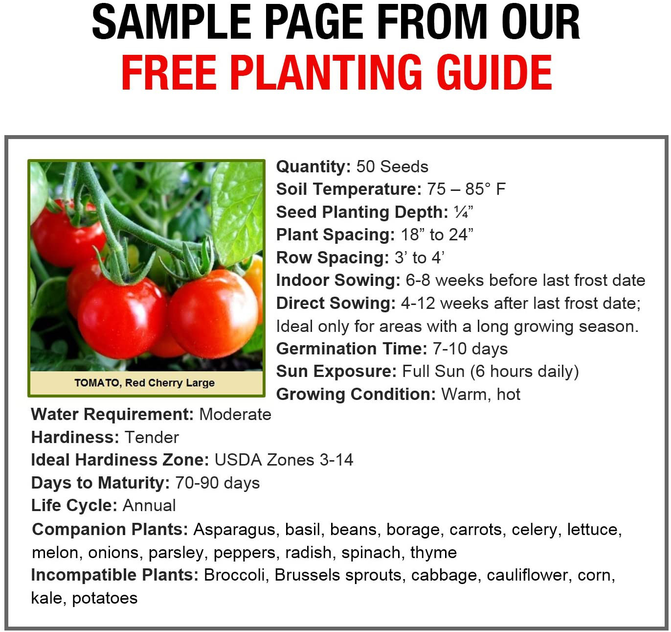 Heritage Survival Seed Vault 25 Year Storage Life Fruits Herbs and Vegetables