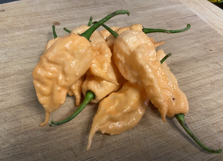 (10) Peach Ghost Scorpion JPGS Seeds Super Hot Pepper Jay’s