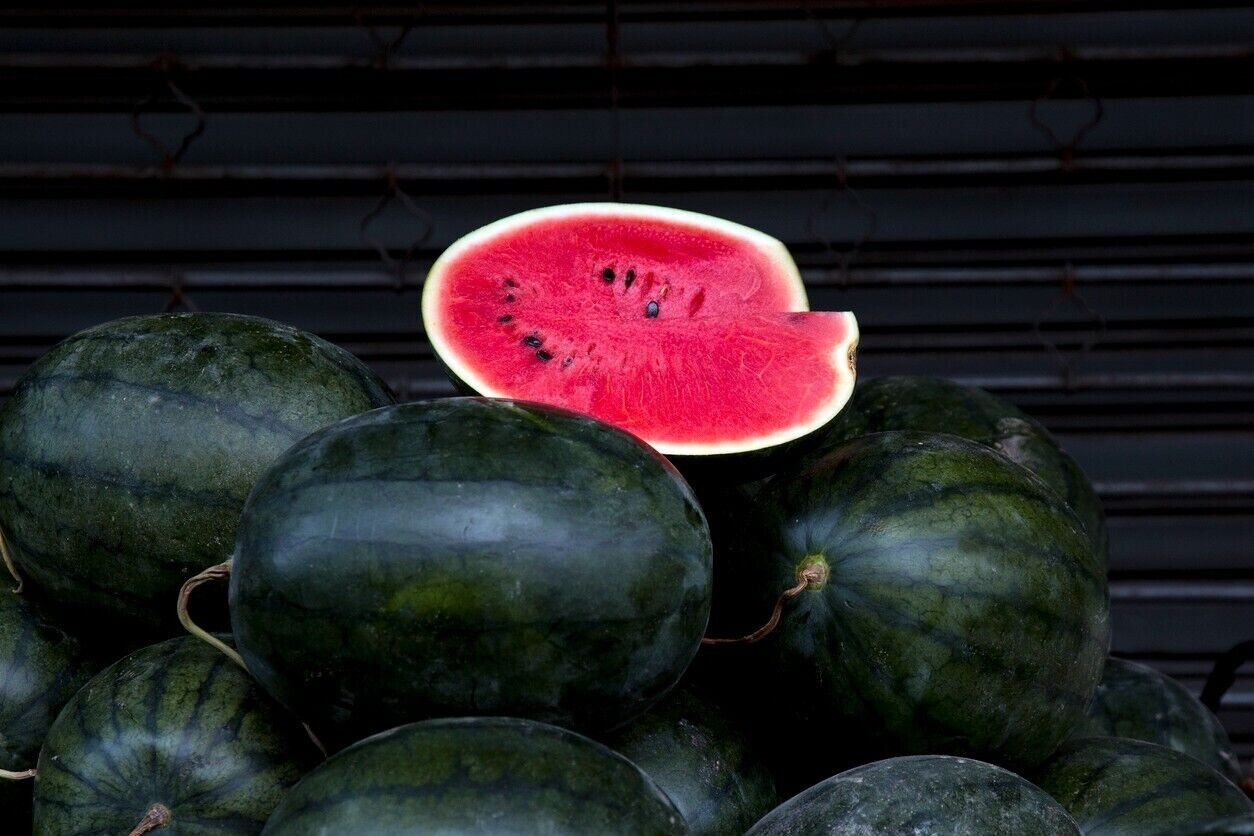 30+ Giant Black Diamond Watermelon Seeds – Heirloom – Organic ——/ 30-50lbs