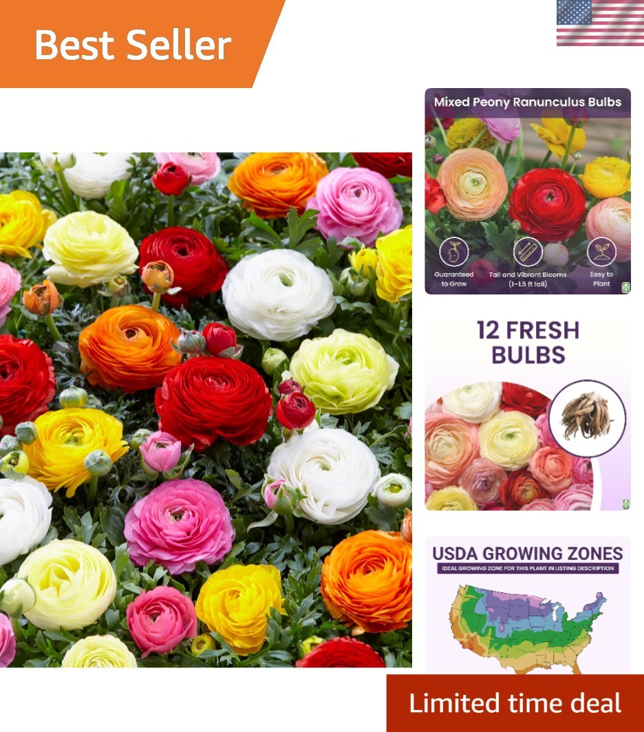 12 Peony Ranunculus Corms – Beautiful Multi-Color Flowers for Spring
