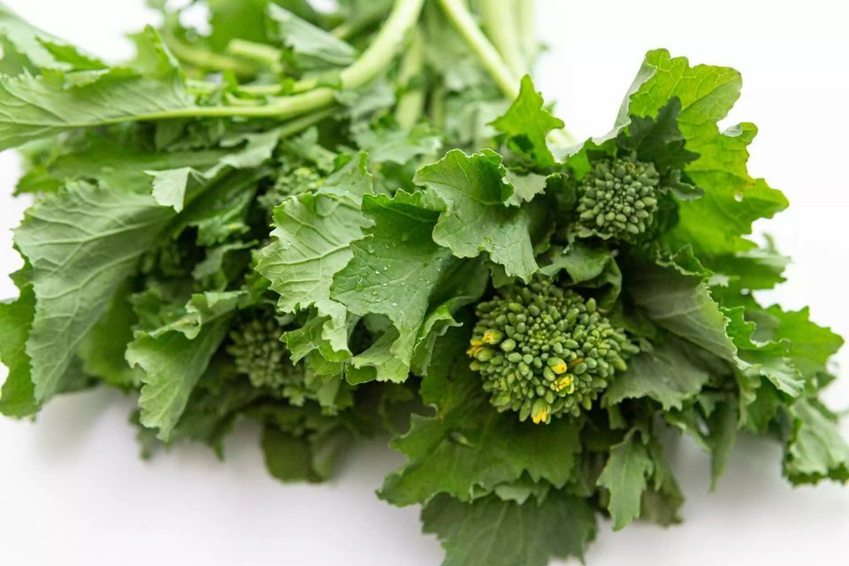 BROCCOLI RAAB SEEDS – SPRING RAPINI – ORGANIC – HEIRLOOM – 1.gram