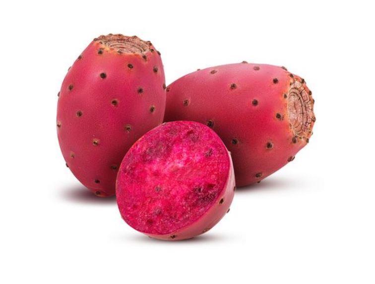 COLD-HARDY PRICKLY PEAR OPUNTIA CACTUS- HIGH ANTI-OXIDANT- SWEET- 20 SEEDS