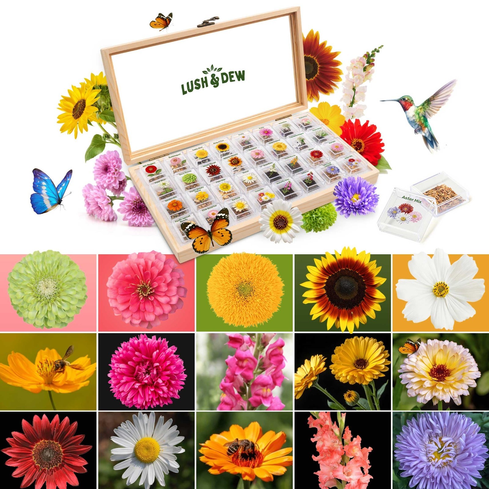 32 Non-GMO Wildflower Seed Pack – Gardening Gifts for Mom, Annual & Perennial Se