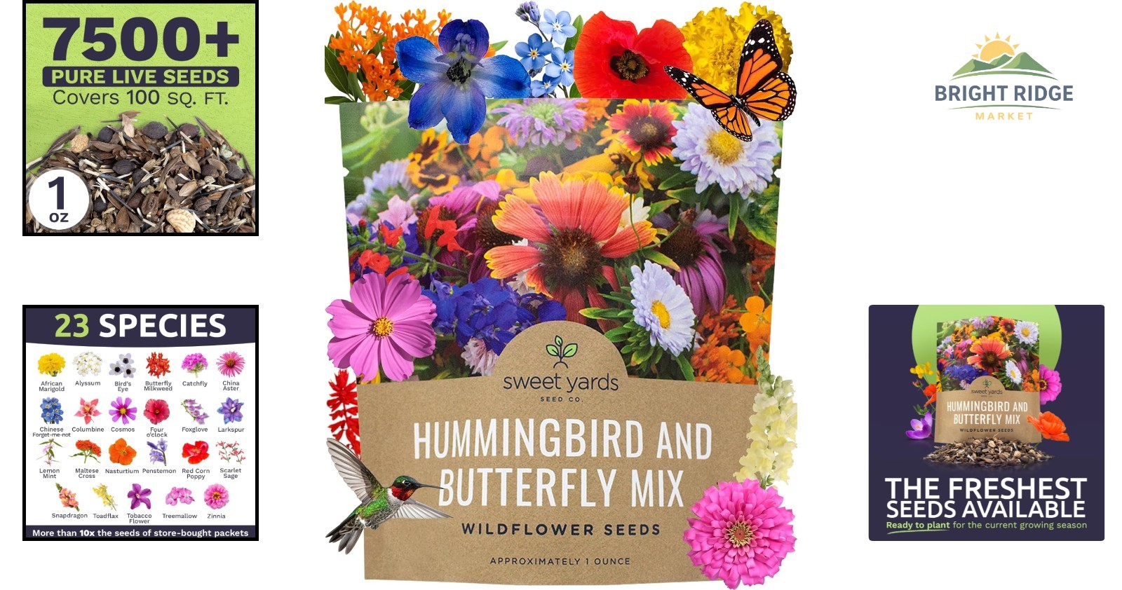 Large 1 Ounce Wildflower Seeds for Garden with 7500+ Pollinator-Friendly Seeds