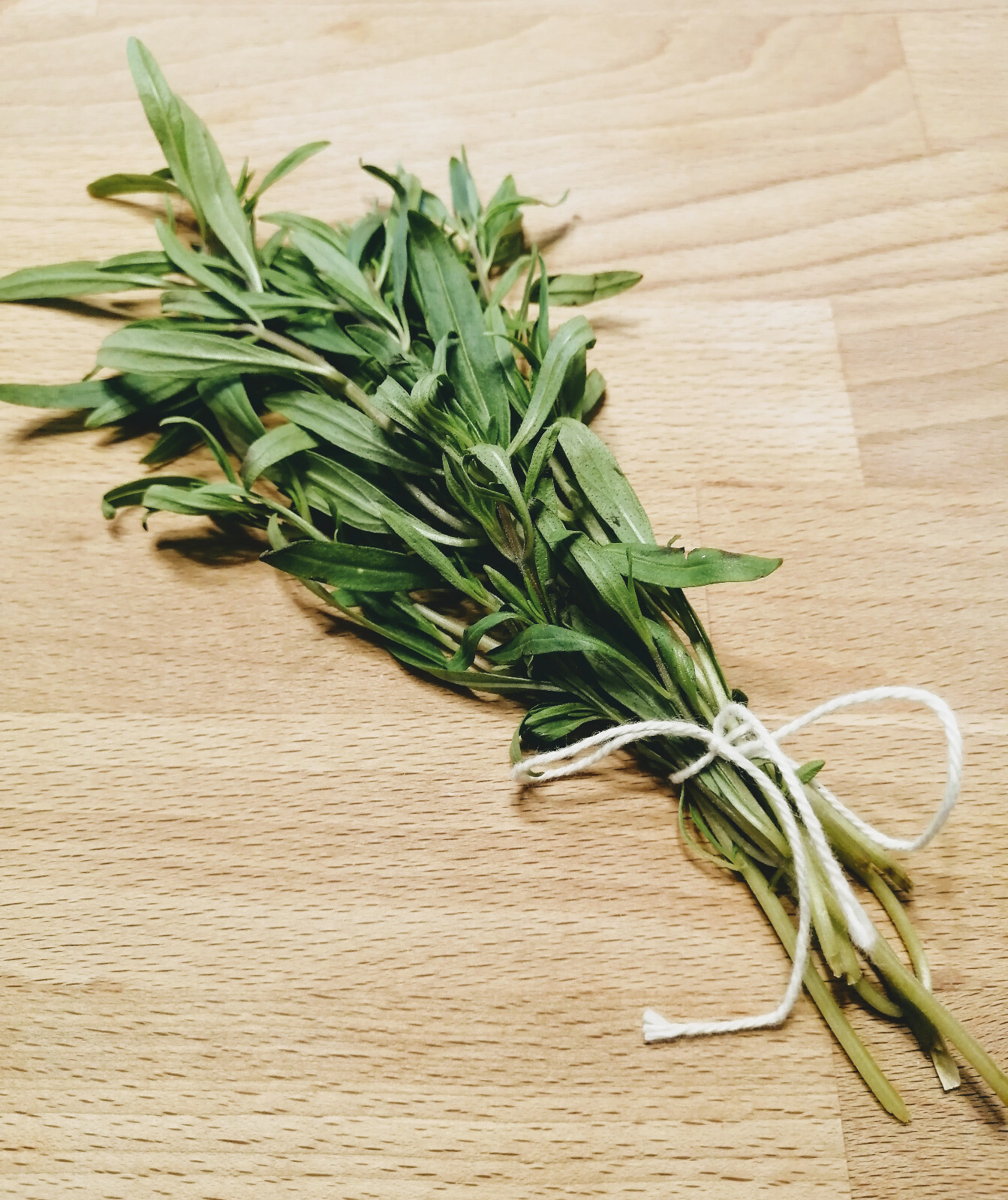 Summer Savory 1000 Seeds – Satureja hortensis Heirloom Non-GMO Aromatic Herb