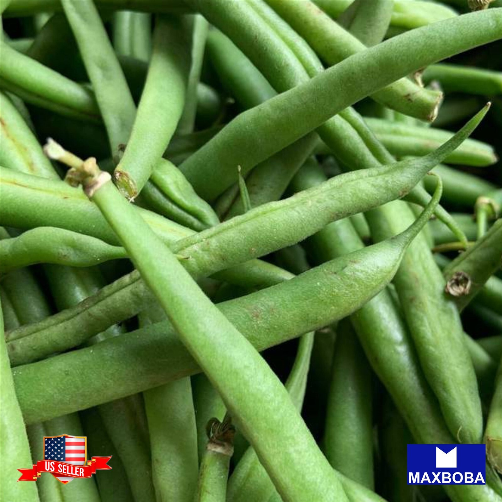 Bean Seeds – Pole – Kentucky Wonder Brown Non-GMO Heirloom Garden