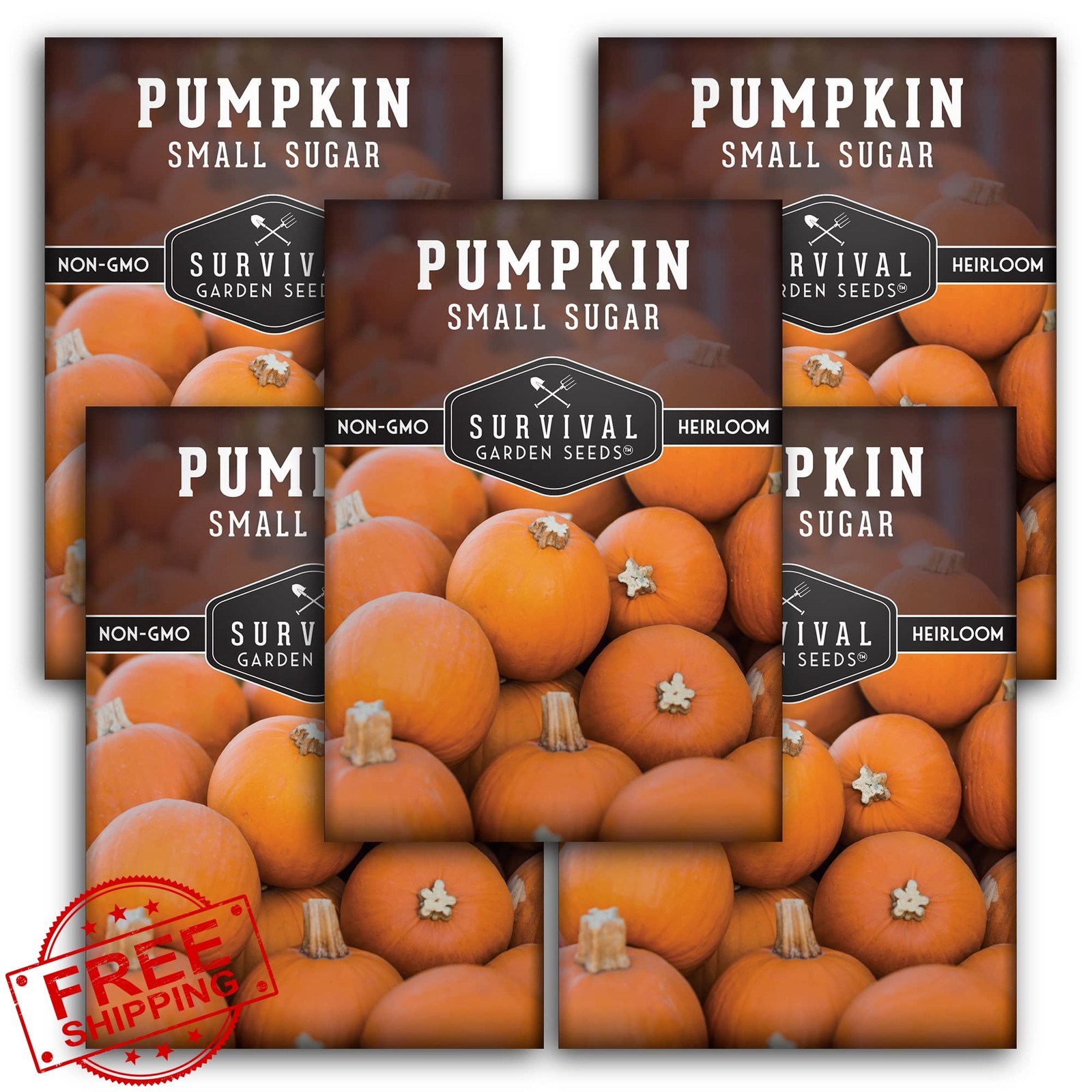 Small Sugar Pumpkin Seeds for Planting – Heirloom Sugar Pie Pumpkins, Sweet B…