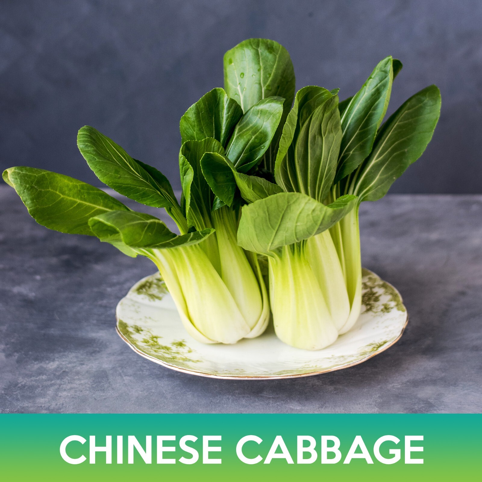 Chinese Cabbage Seeds, Brassica rapa var. parachinensis