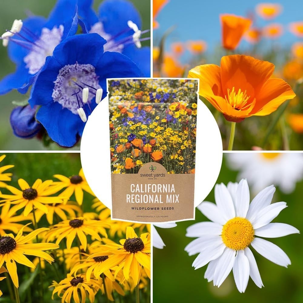 California Wildflower Mix – 1/4 lb Bag