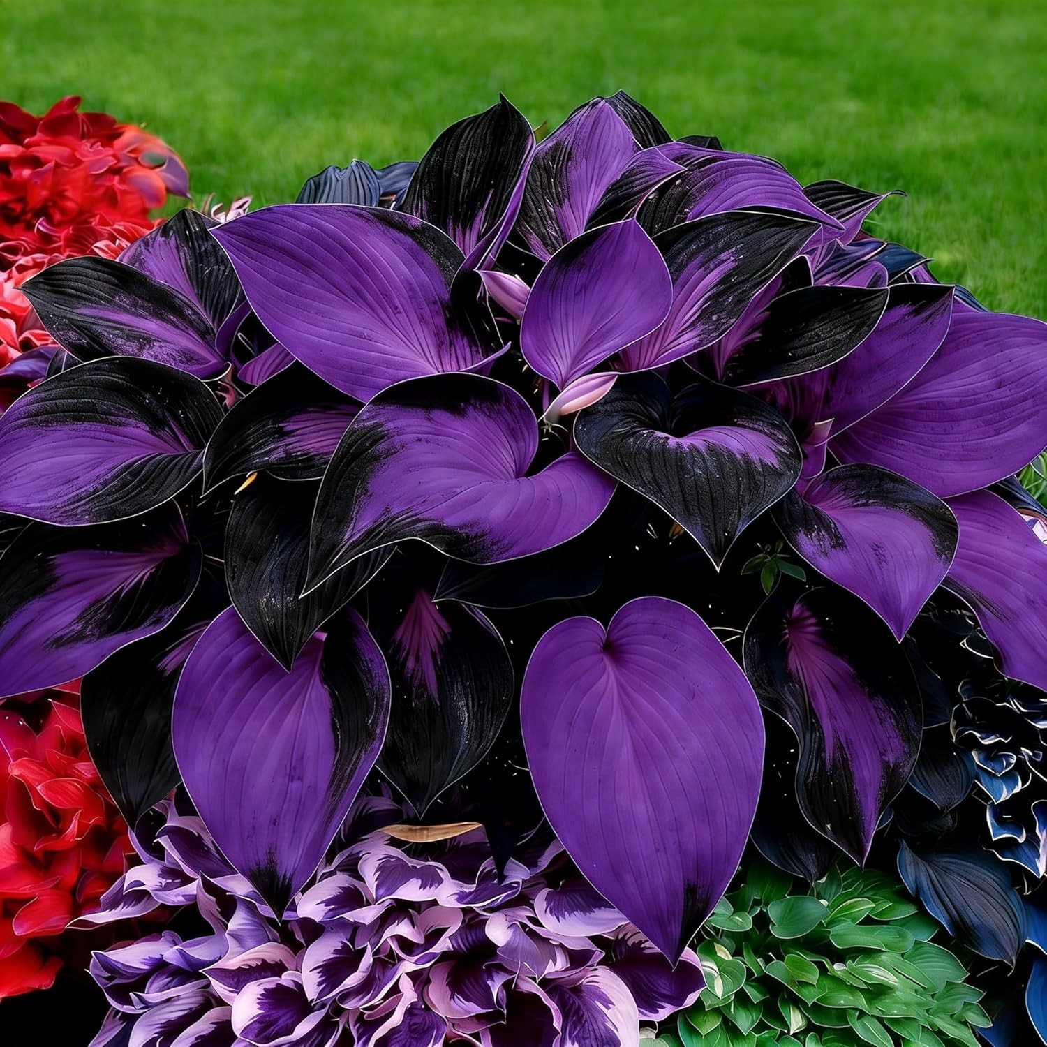 Diverse Rare Hosta Seeds for Planting – 200+pcs Fragrant Perennials for Shade