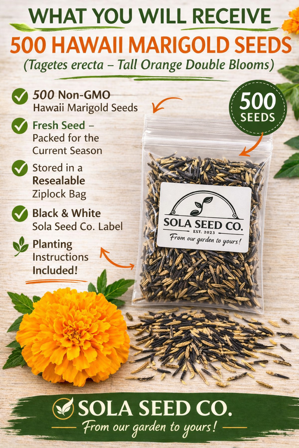 500 Marigold HAWAII Tall Orange Double Seeds Landscaper Pack bulk, Non-GMO USA!