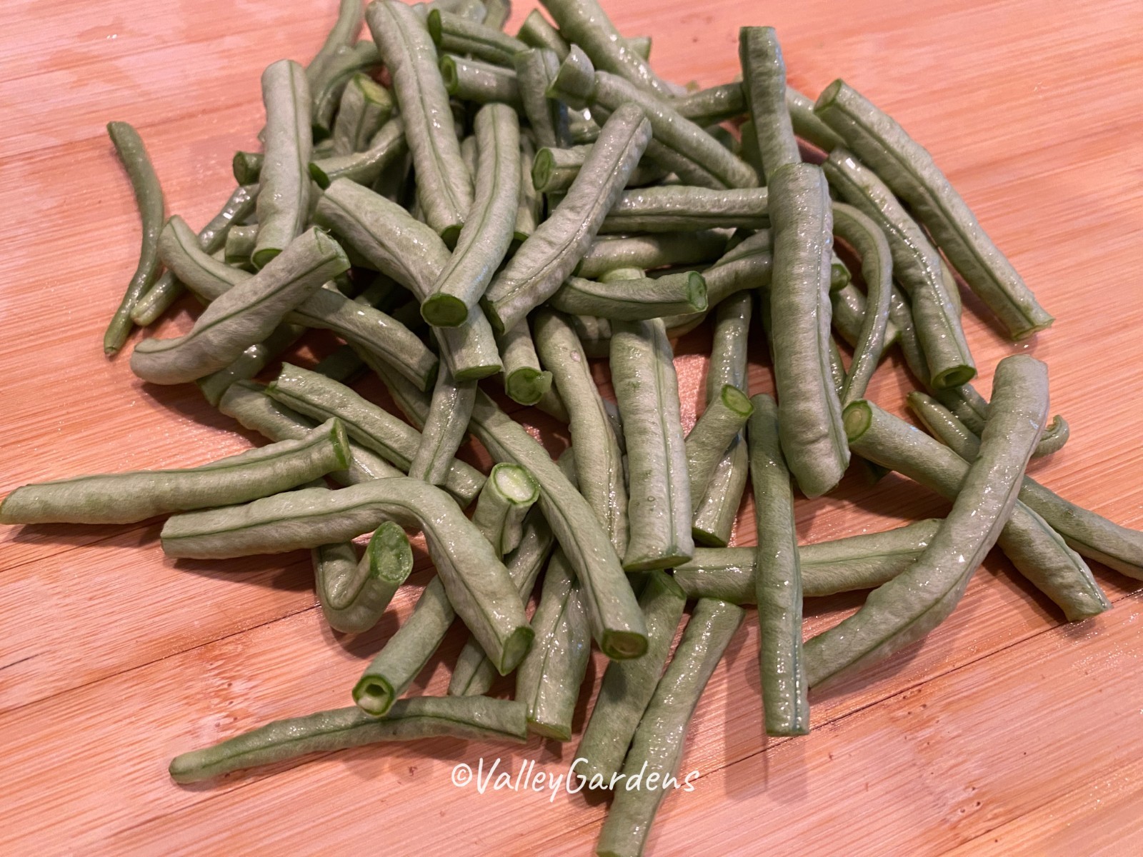 🌱 Heirloom Yu Long Yardlong/Asparagus Bean 20 Seeds
