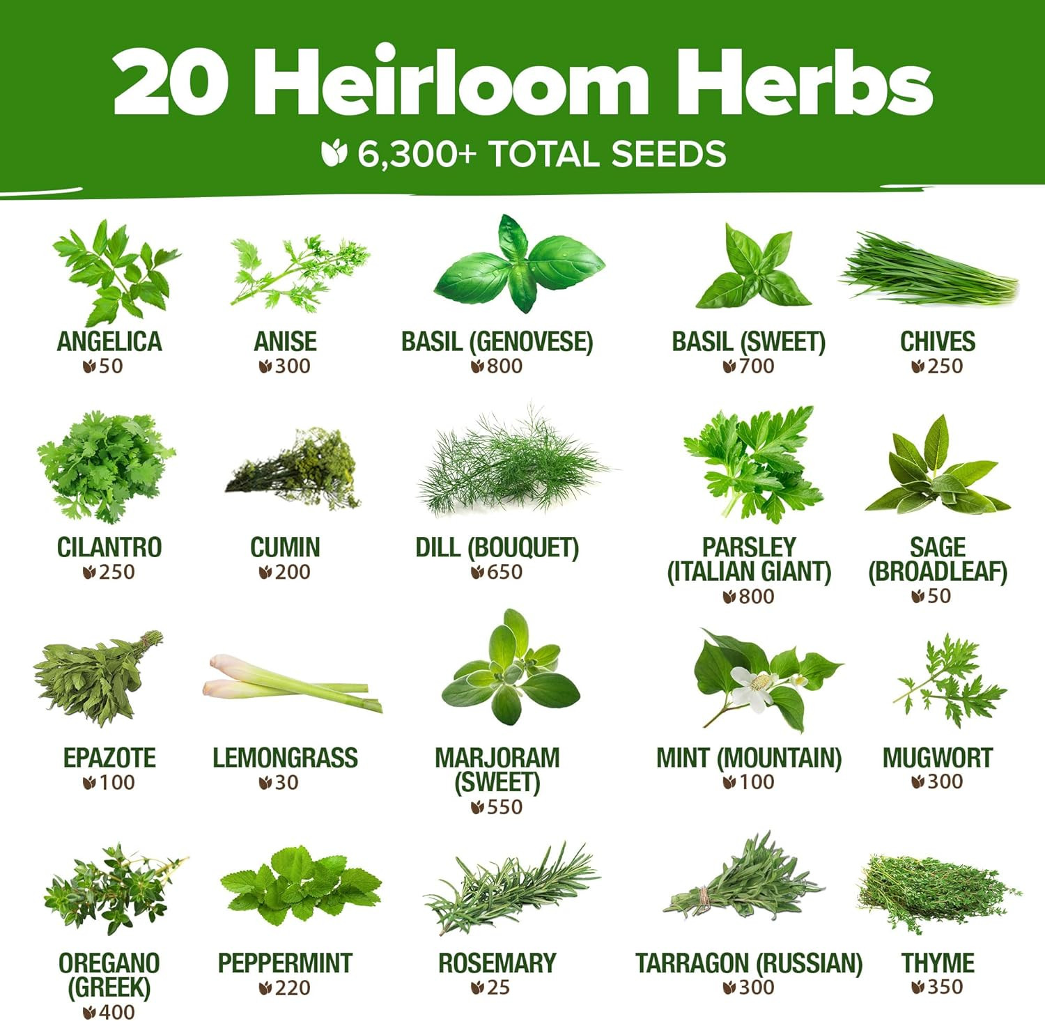 Premium Herb Variety Pack – 20 Heirloom Herb for Planting – 6,000+ Non-Gmo wi