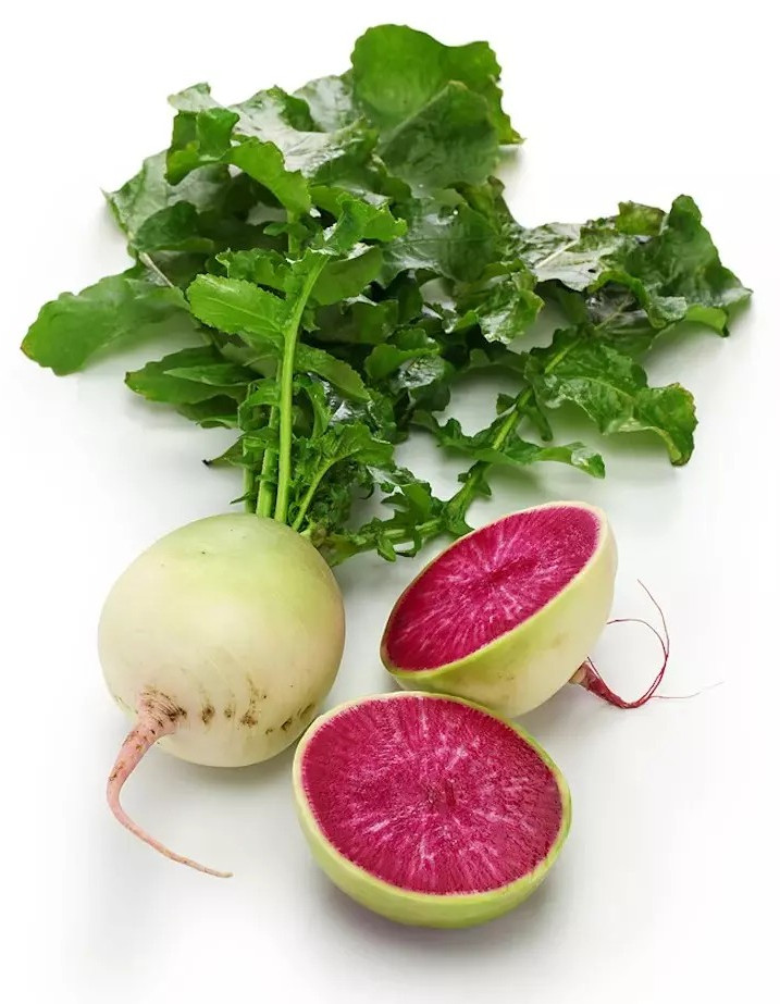 200+ Watermelon Radish Seeds – NON GMO – Heirloom – Organic ————– FRESH