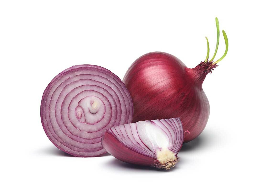 200 RED BURGUNDY ONION SEEDS ~ heirloomseedguy ~ 2026 ~ NON-GMO