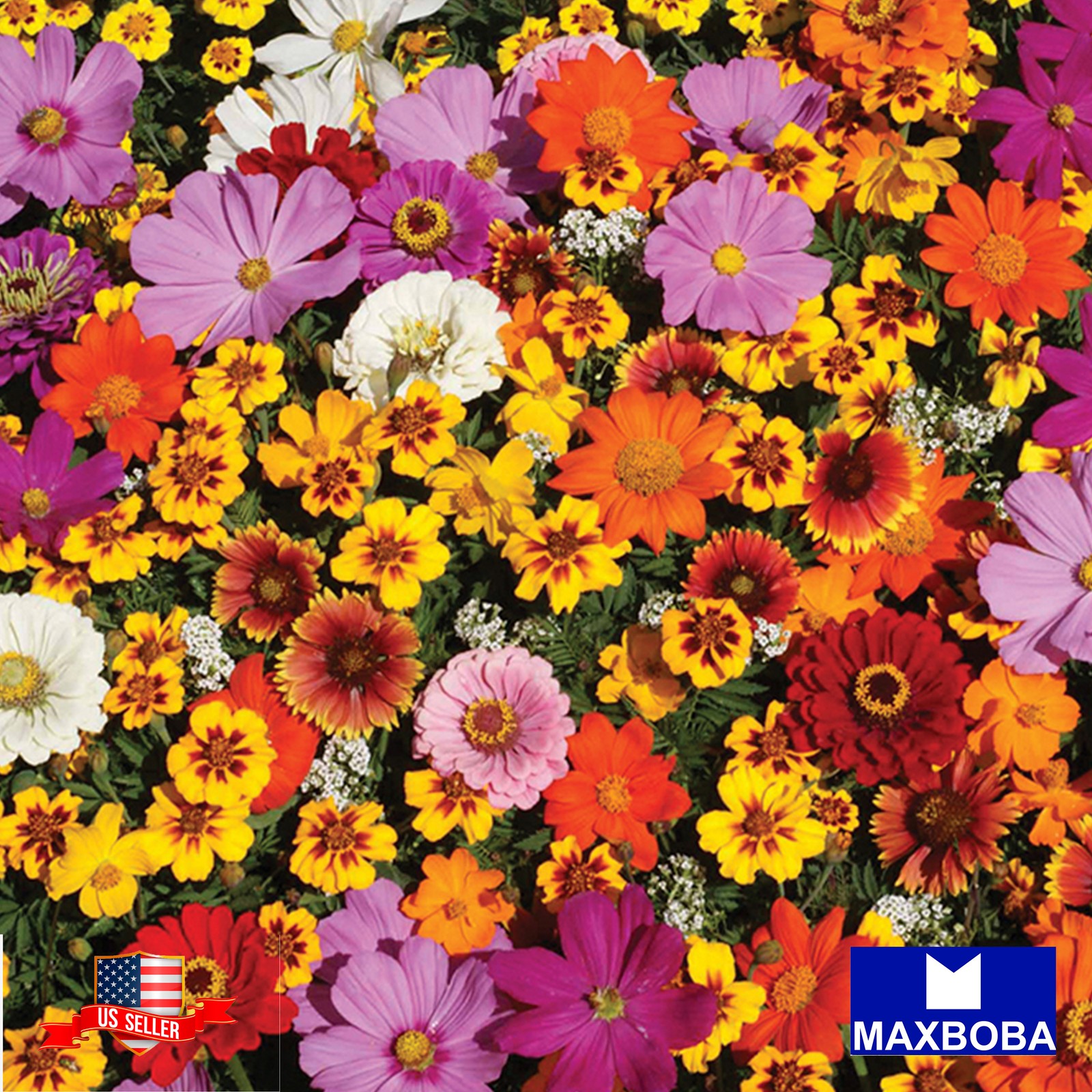 1/8 oz Wildflower Seeds – Monarch Butterfly Mix Non-GMO BOGO 50% OFF